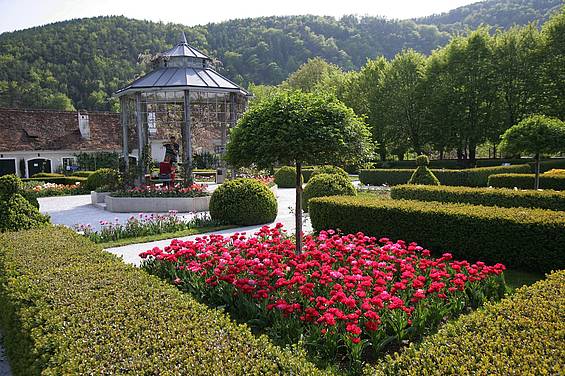 Tulpenbeet im Garten der Tierwelt Herberstein (c) Schiffer