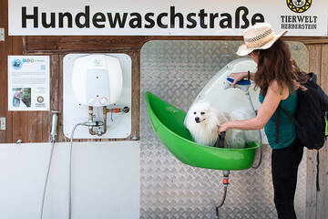 Hund in der Hundewaschstraße in der Tierwelt Herberstein