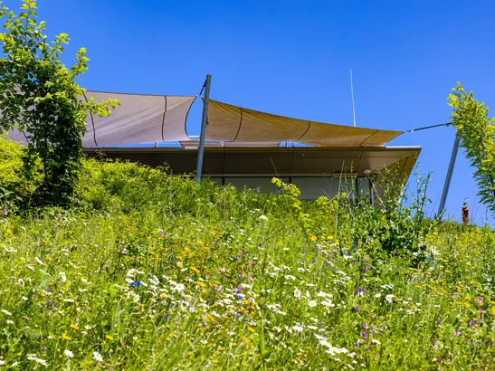 Markt der Artenvielfalt in Graz