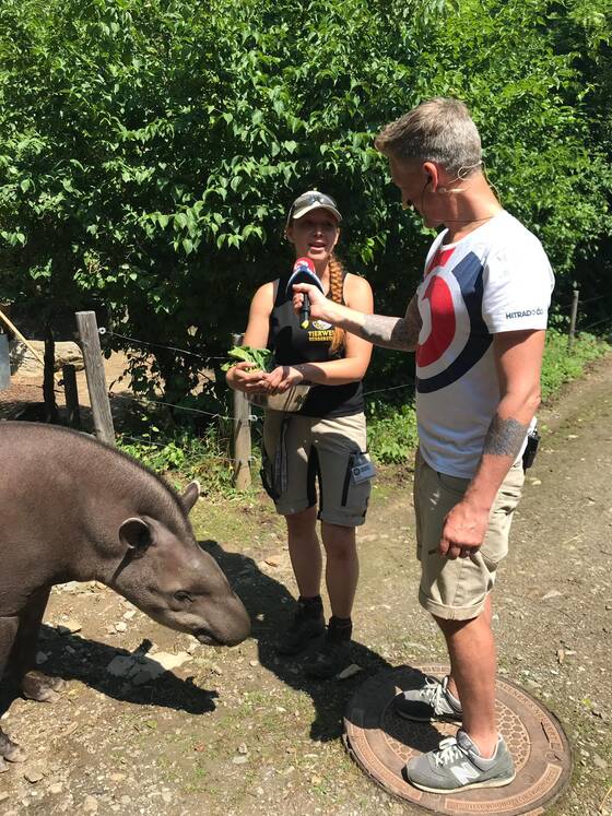 Andi Knoll interviewt eine Pflegerin neben einem Tapir der Tierwelt Herberstein
