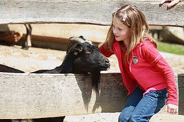 Tiere zum Angreifen für Groß und Klein 