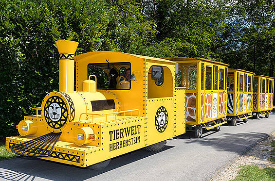 Alles einsteigen in den Bummelzug in der Tierwelt Herberstein