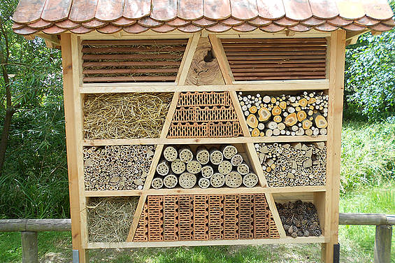 Insektenhotel in der Tierwelt Herberstein