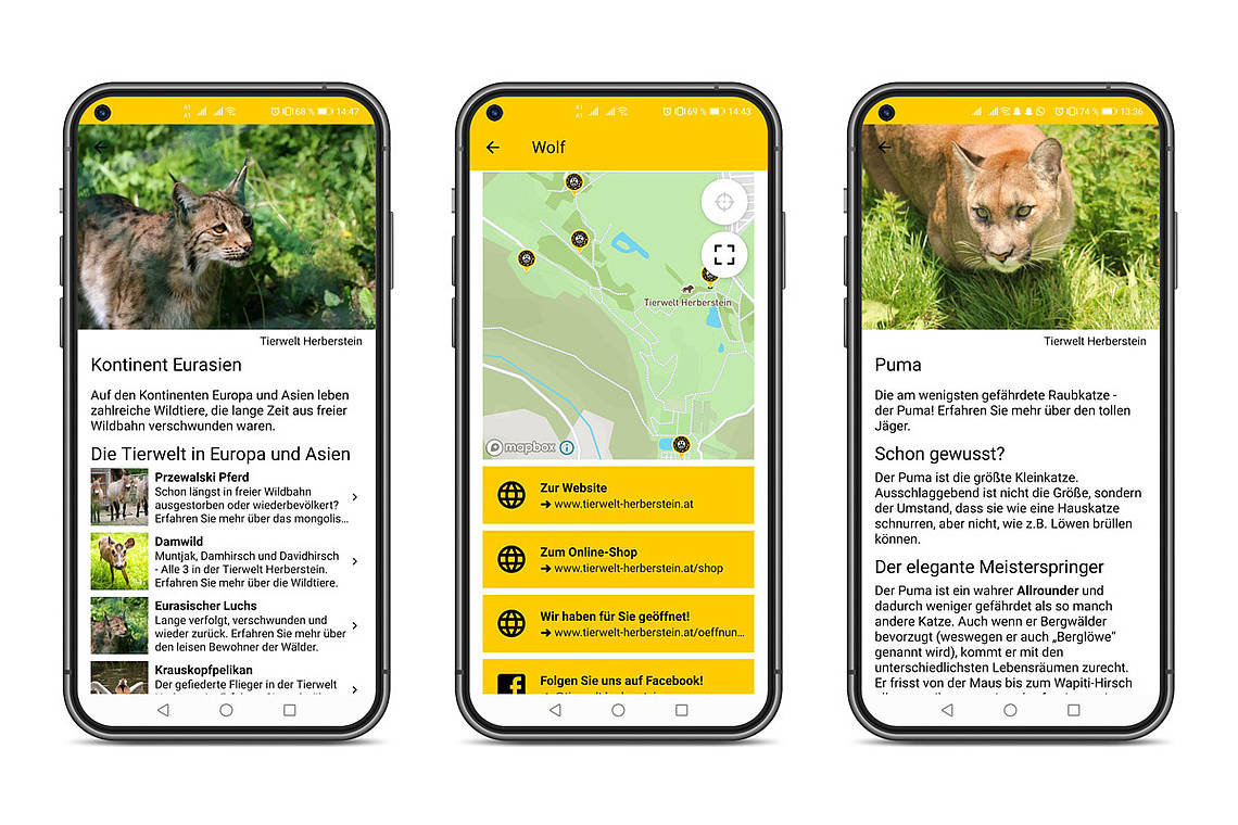 Tierisch Cool - die App der Tierwelt Herberstein
