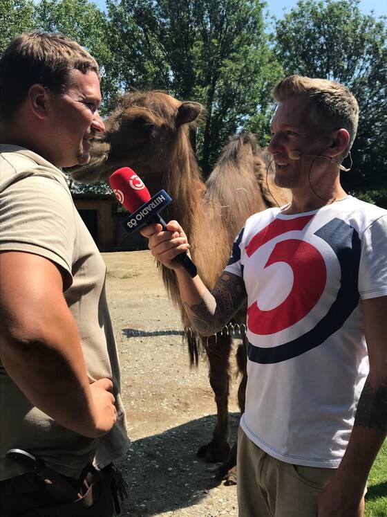Andi Knoll interviewt eine Pfleger neben einem Kamel der Tierwelt Herberstein