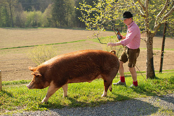 Schwein Franz mit seinem Besitzer, dem Chef von Vulcano