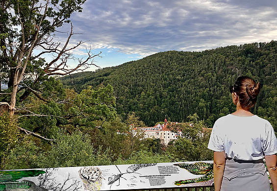 Außenstation Panorama Feistritzklamm der Steiermark Schau (c) Haid | Pretterhofer | Rieper