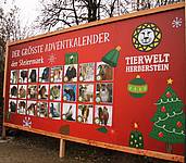 Adventskalender der Tierwelt Herberstein