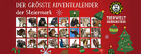 Adventkalender