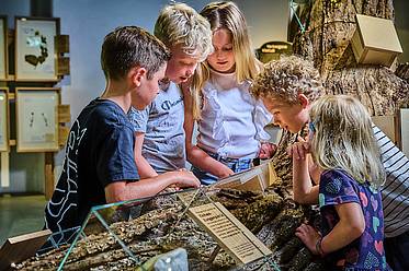 Kinder im Haus der Biodiversität in der Tierwelt Herberstein (c) mavric