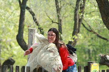 Tiere zum Angreifen für Groß und Klein 