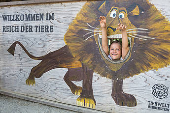 Fotowand in der Tierwelt Herberstein