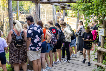Besucher beim Vollmondfest in der Tierwelt Herberstein.