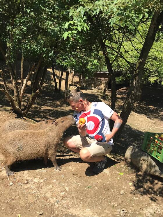 Andi Knoll füttert Capybara in der Tierwelt Herberstein