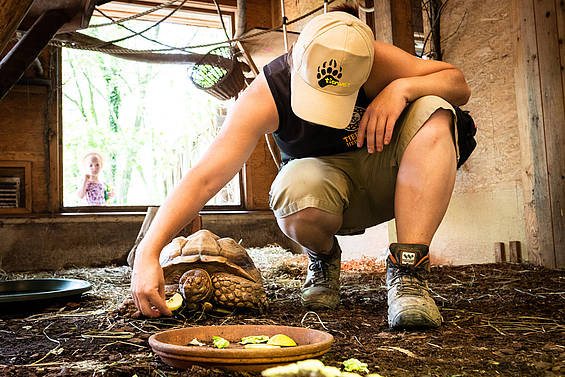 Volle Eimer mit Futter für kommentierte Fütterungen bei den Schildkröten in der Tierwelt Herberstein Copyright by Andreas Litzellachner