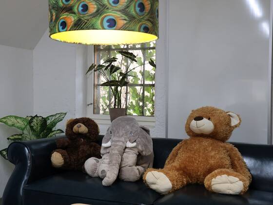 Kuscheltiere im Kindergeburtstagsraum der Tierwelt Herberstein.
