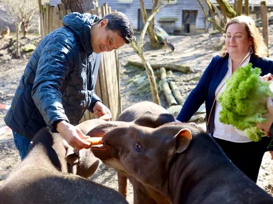 Landesrat übernimmt Tapir-Patenschaft
