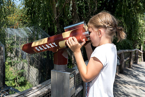 Entdeckungstour mit der Zooschule der Tierwelt Herberstein