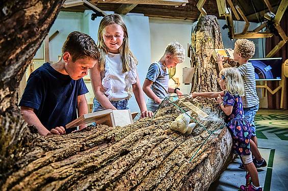 Kinder im Haus der Biodiversität in der Tierwelt Herberstein (c) mavric