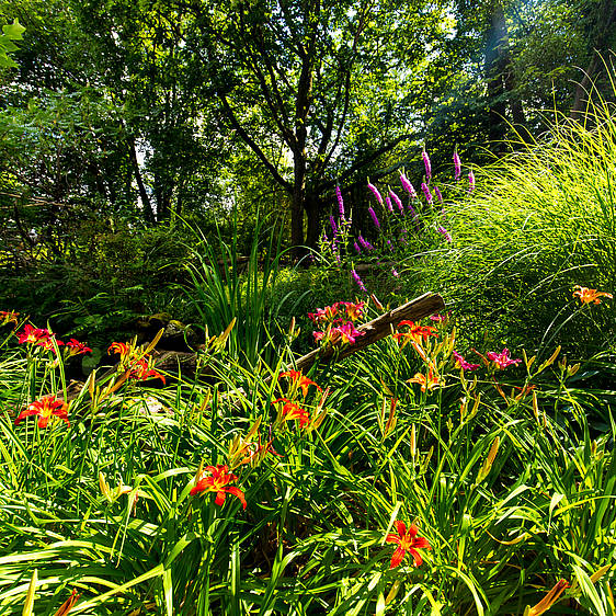 Blüten im Insektenhotel in der Tierwelt Herberstein