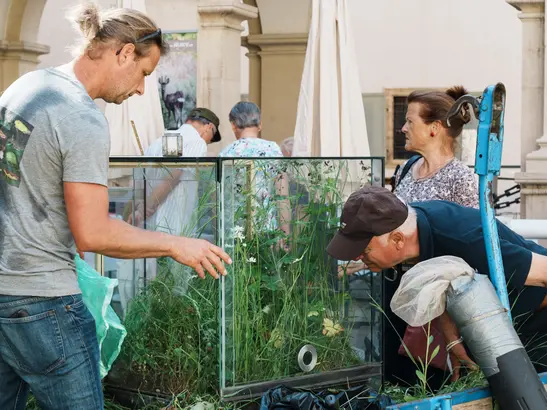 Kunst, Kultur & Landschaft