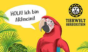 ARAncini - Jahresthema Südamerika in der Tierwelt Herberstein