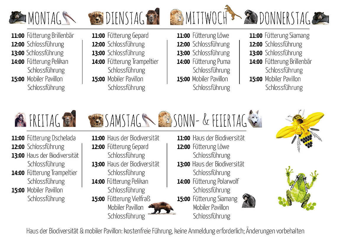 Fütterungsplan für die Tierwelt Herberstein