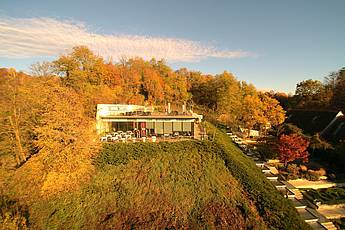 Herbst in der Tierwelt Herberstein