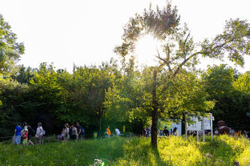 Abenstimmung beim Vollmondfest in der Tierwelt Herberstein.