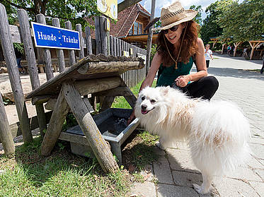 Hundetränke