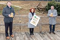 GRAWE Vorstand Schneider in der Tierwelt Herberstein